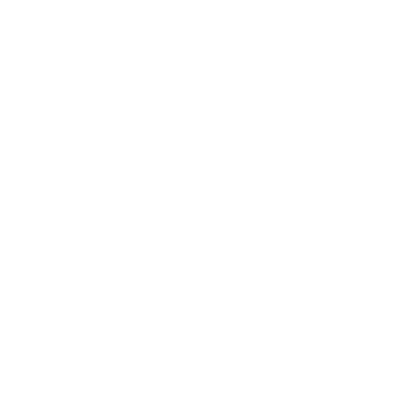 Stenrent logo